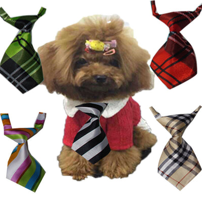 Corbatas y Moños para Mascotas - Accesorios Elegantes para Perros - Image 7