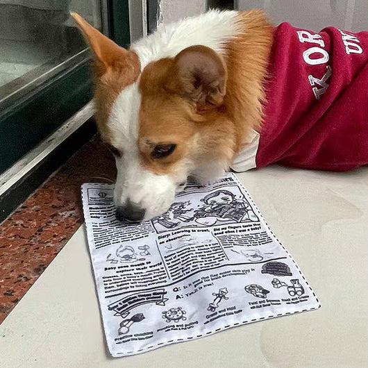 Juguete Interactivo para Perros Resistente a Mordidas con Sonido de Periódico - Image 18
