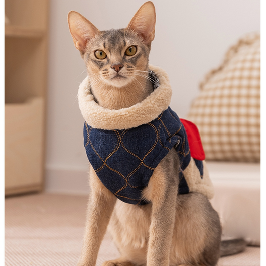 Ropa Térmica para Mascotas: Abrigos y Chalecos Acolchados para Gatos y Perros - Image 43