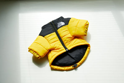 Abrigo Impermeable y Cortavientos para Perros - Ropa de Invierno Acolchada - Image 9