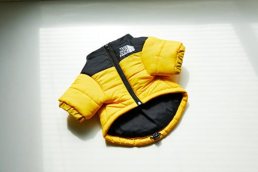 Abrigo Impermeable y Cortavientos para Perros - Ropa de Invierno Acolchada - Image 9
