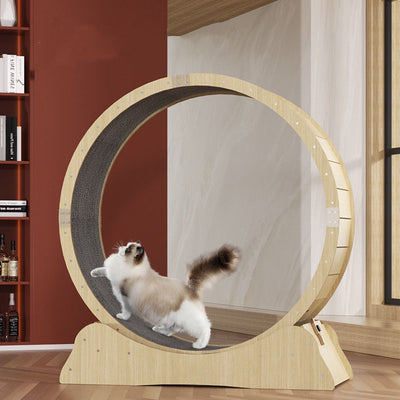Light wood cat exercise wheel, size M, with a dark grey scratching surface and visible dimensions.