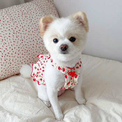 Falda Teddy Cachorro para Perro - Ropa Fresca de Verano - Image 4