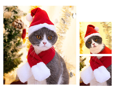 Disfraz Navideño para Mascotas - Capa y Gorro para Gatos y Perros - Image 9