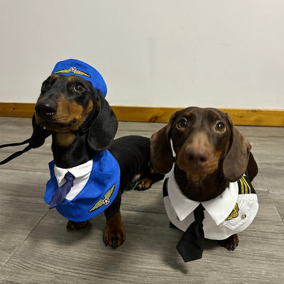 Disfraz Halloween para Perros Salchicha - Traje Divertido y Cómodo - Image 10