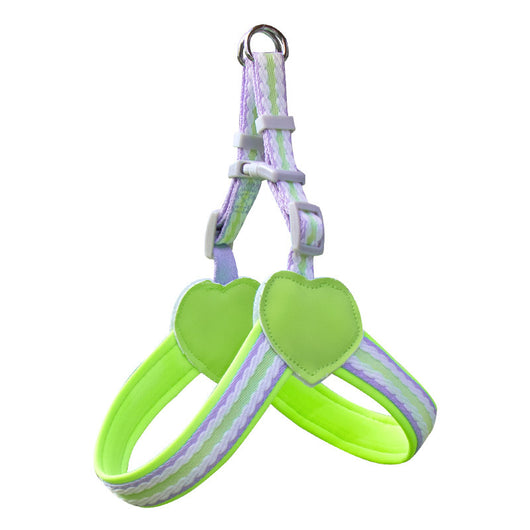 Arnés de Pecho con Correa para Pasear Perros - Control Seguro y Cómodo - Image 8