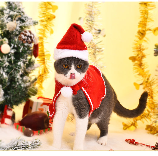 Disfraz Navideño para Mascotas - Capa y Gorro para Gatos y Perros - Image 7
