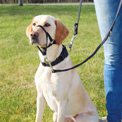 Bozal Ajustable para Perros - Máscara Transpirable Antimodidas y Anticomida