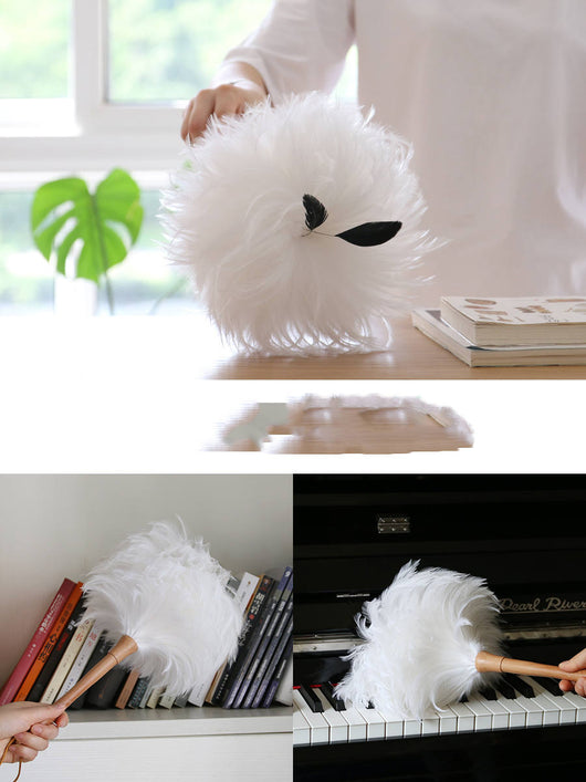 Plumero de Plumas Blanco - Limpiador de Polvo Decorativo - Image 6