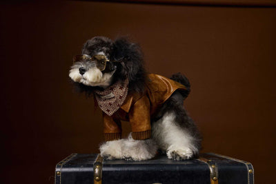 Abrigo de Cuero Retro Estampado Schnauzer Bichon - Manga Larga Unisex - Image 10