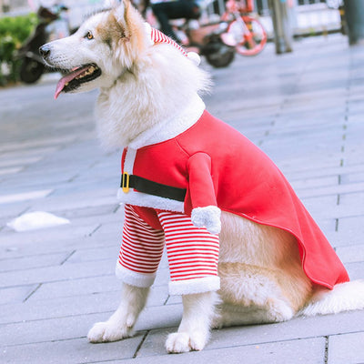 Ropa Térmica Divertida para Mascotas - Otoño e Invierno - Image 11