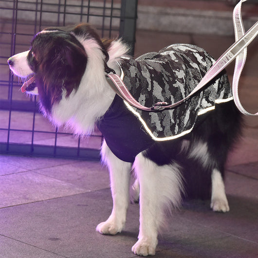 Traje Reflectante de Alto Rendimiento para Mascotas - Image 8
