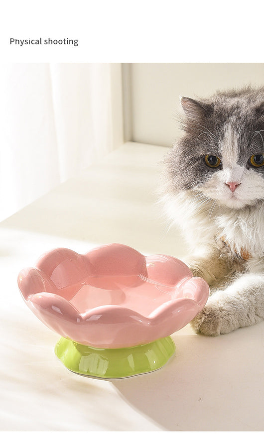 Comedero Elevado para Gatos de Cerámica Rosa - Diseño Inclinado Anti-Vómito y Fatiga de Bigotes - Image 18