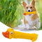 Juguete Dental de Látex para Perros con Diseño de Pato Amarillo - Alivio de Estrés y Limpieza de Dientes
