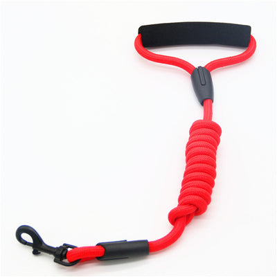 Correa Antitirones para Perros con Mango Ergonómico Resistente - Image 6