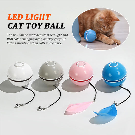 Four colorful LED laser cat balls in white, grey, pink, and blue, shown with a cat playing. - Image 13