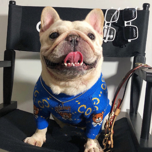 Ropa de Abrigo para Perros - Colección Otoño e Invierno - Image 7