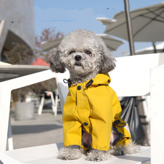 Impermeable para Perros Completo y Resistente al Agua - Image 11