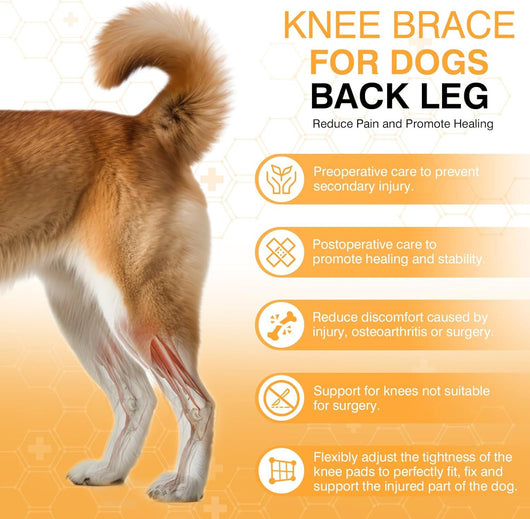 Protector de Rodilla para Perros - Soporte Articular y Cinturón de Protección - Image 11