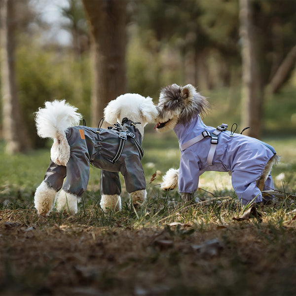 Impermeable para Perros con Estilo Personalizado