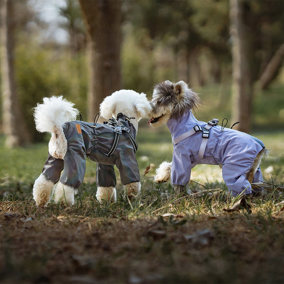 Impermeable para Perros con Estilo Personalizado