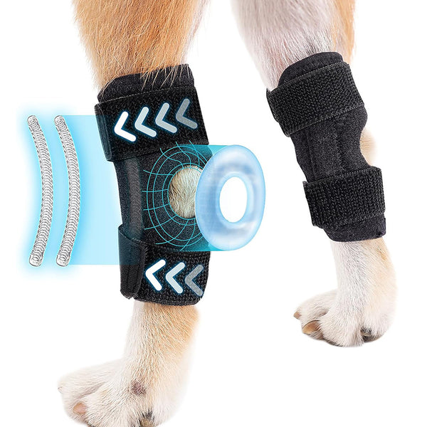 Arnés de Soporte para Patas Traseras en Perros