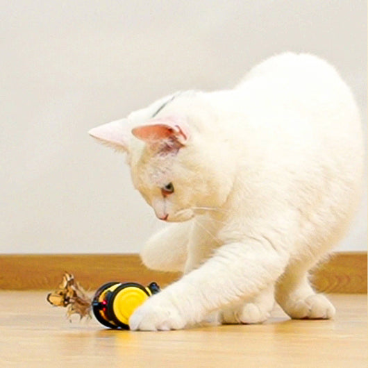 Juguete Interactivo Eléctrico para Gatos - Abejita Móvil con Plumas y Movimiento Aleatorio - Image 7