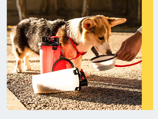 Comedero Portátil Plegable para Perros con Bebedero Colgante - Image 27
