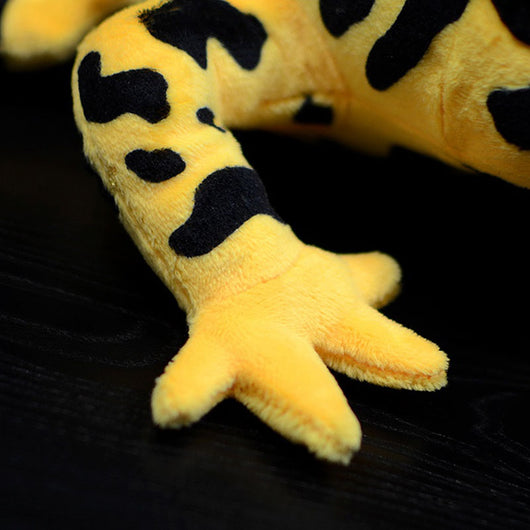 Peluche Educativo Rana Venenosa - Juguete Realista de Animal Simulado - Image 3