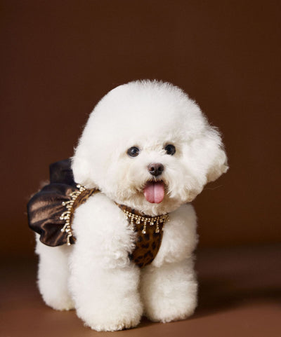 Vestido Otoñal Estampado Leopardo para Perros - Image 21
