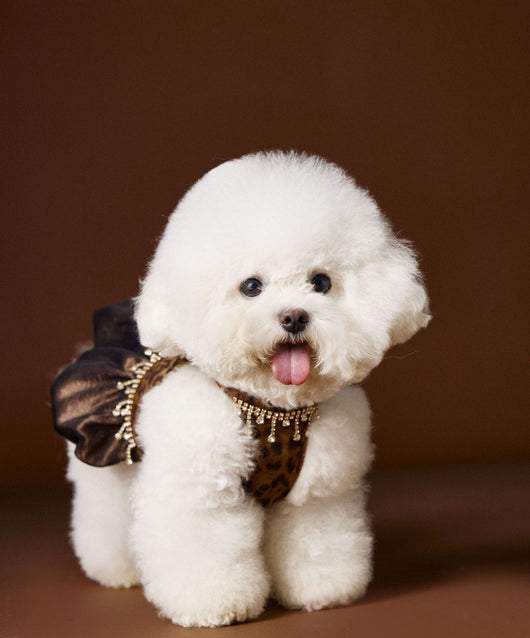 Vestido Otoñal Estampado Leopardo para Perros - Image 21