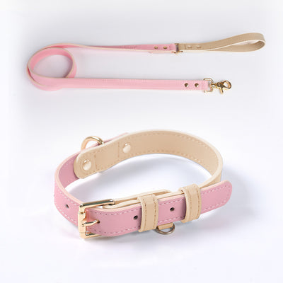 Juego de Collar y Correa para Perro en Cuero Premium - Image 4