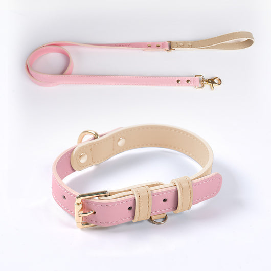 Juego de Collar y Correa para Perro en Cuero Premium - Image 42