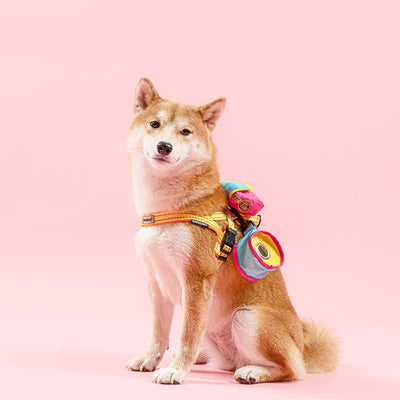 Bolsa de Viaje 3 en 1 para Mascotas - Diseño Portátil y Adorable - Image 6