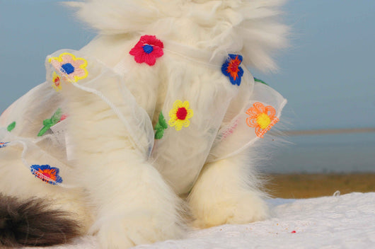 Vestido de Encaje con Bordado Floral para Gatos - Image 14