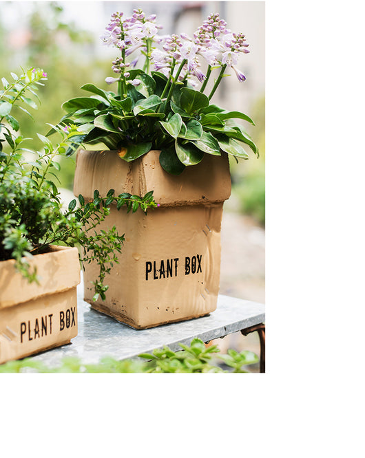 Maceta Creativa de Papel Cemento para Plantas de Interior y Balcón - Image 23