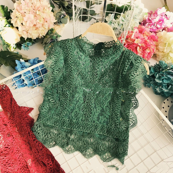 Blusa Crop Top de Encaje Transparente Cuello Redondo Sin Mangas