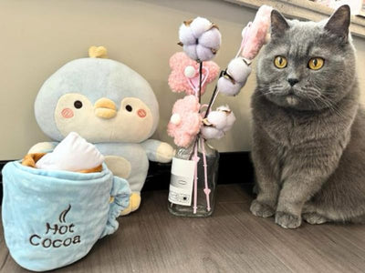 Juguetes Interactivos de Catnip para Gatos con Sonidos Crujientes y Puzzle de Premios - Image 12