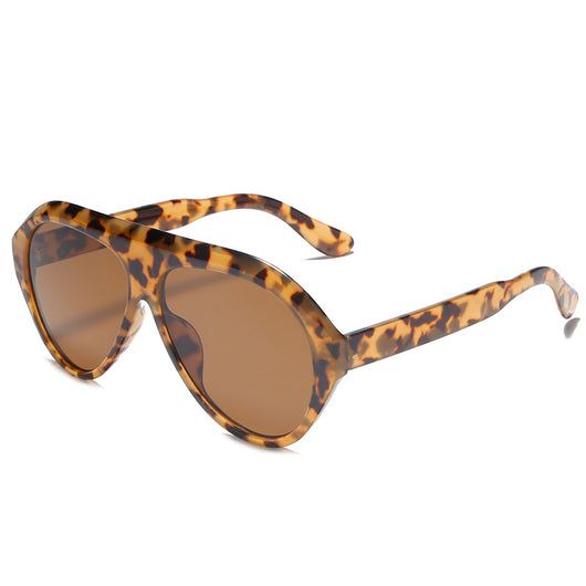 Gafas de Sol Protectoras con Marco Grande y Parasol para Parabrisas - Image 2