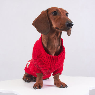 Suéter Navideño de Visón para Perros y Gatos - Calidez Creativa - Image 3