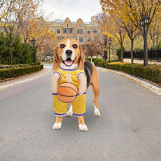 Disfraz de Jugador de Baloncesto para Perros - Outfit Deportivo Divertido - Image 7