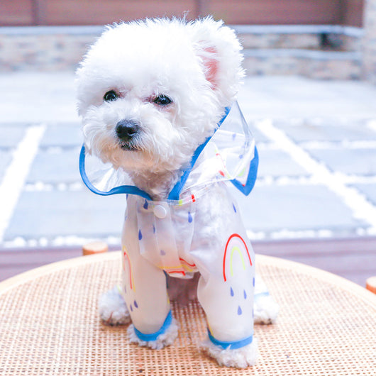 Impermeable Transparente Arcoíris para Perros - Image 4