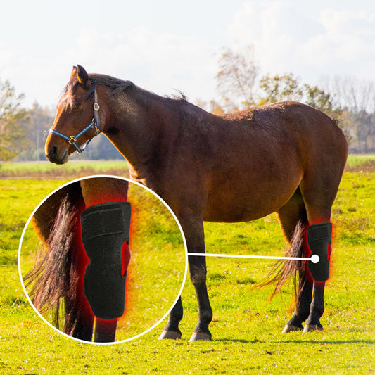 Dispositivo Portátil de Fototerapia para Recuperación de Espalda y Rodillas en Caballos