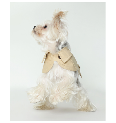 Abrigo Impermeable Británico para Perros - Ropa de Verano - Image 3
