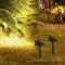Focos Solares LED para Jardín y Césped