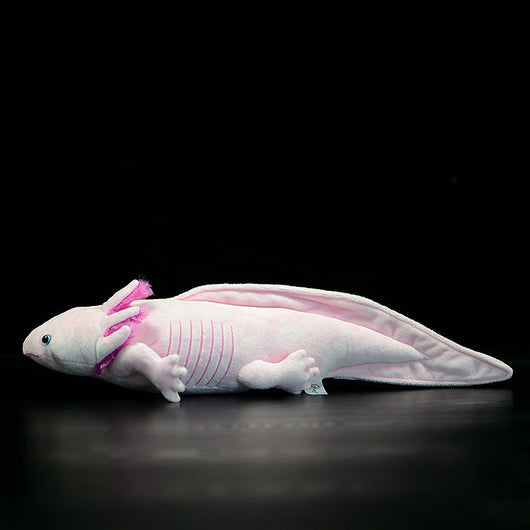 Muñeco de Peluche Dinosaurio Hexagonal Suave y Adorable - Image 13