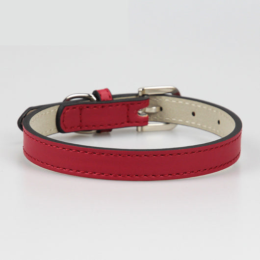 Collar de Cuero para Perro Pequeño Mediato Teddy - Image 11