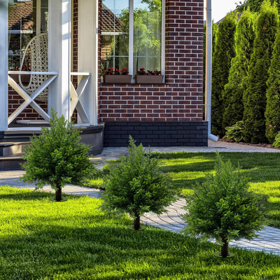 Jardín de Bonsái Decorativo con Plantas Artificiales - Image 2