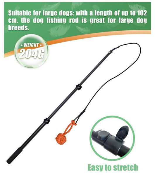 Vara Extensible de Adiestramiento para Perros con Diseño Divertido - Image 14