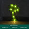Coconut Tree Verde